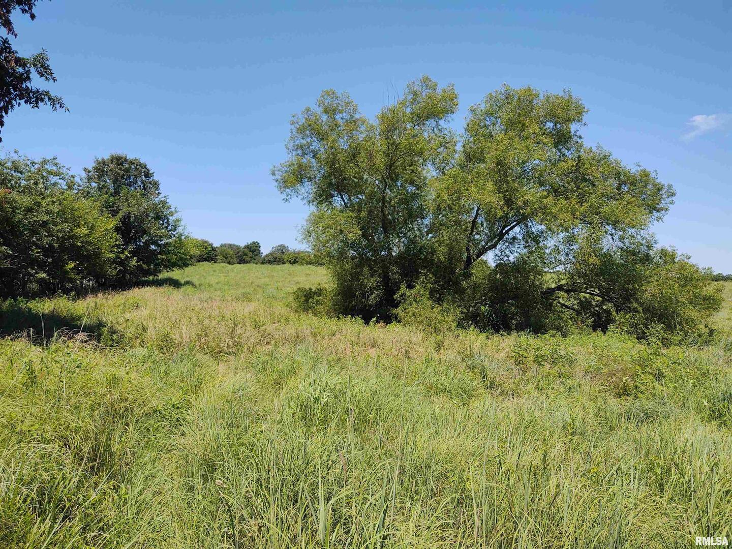6000 Walnut Ridge Road Belknap, IL 62908 - Photo 4 of 10 a view of a garden