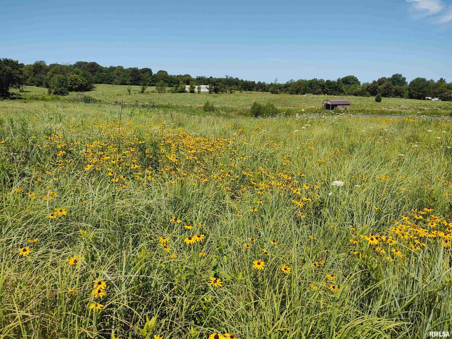6000 Walnut Ridge Road Belknap, IL 62908 - Photo 5 of 10 a view of lake with green space