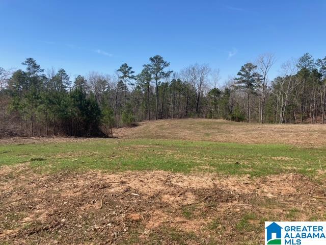 6951 Rendalia Motorway, Unit 16 79 Talladega, AL 35160 - Photo 3 of 5