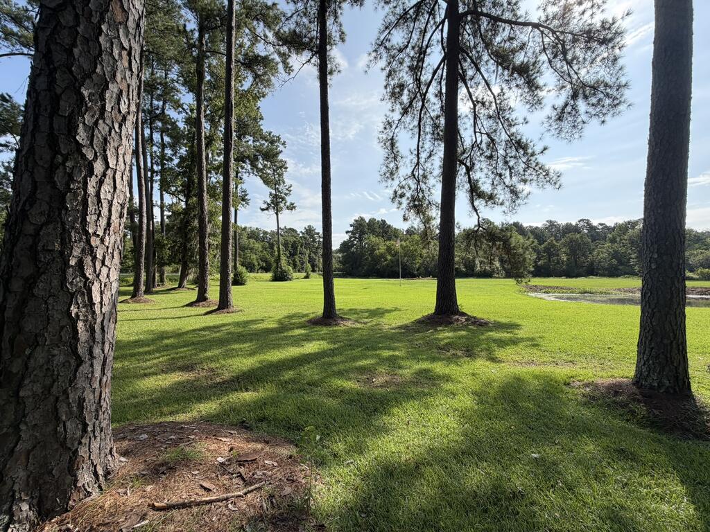 972 Baldwin Road Ochlocknee, GA 31773 - Photo 13 of 57 Gallery Image 13