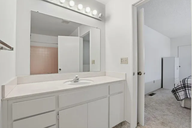 a bathroom with a sink and a mirror