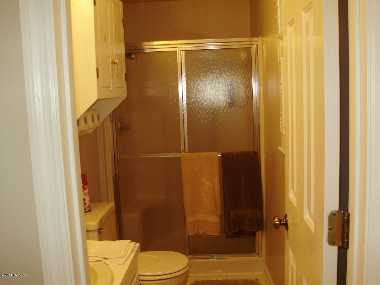 880 Bass Lake Road Clinton, NC 28328 - Photo 11 of 21 MASTER BATH
