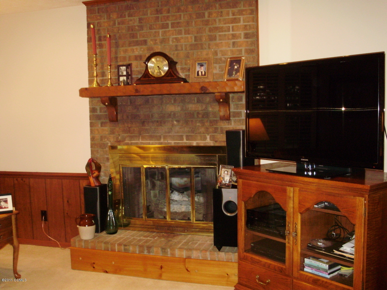 880 Bass Lake Road Clinton, NC 28328 - Photo 6 of 21 FIREPLACE GAS LOGS
