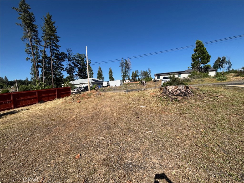 6249 Lucky John Road Paradise, CA 95969 - Photo 3 of 6 a view of a yard with a tree