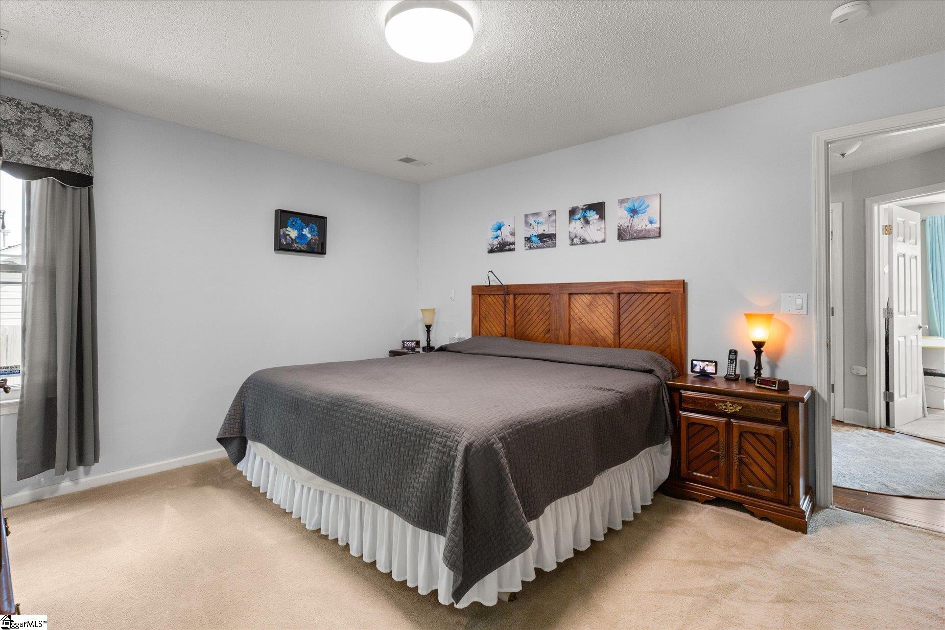 402 Ariel Court Fountain Inn, SC 29644 - Photo 16 of 35 Gallery Image 16