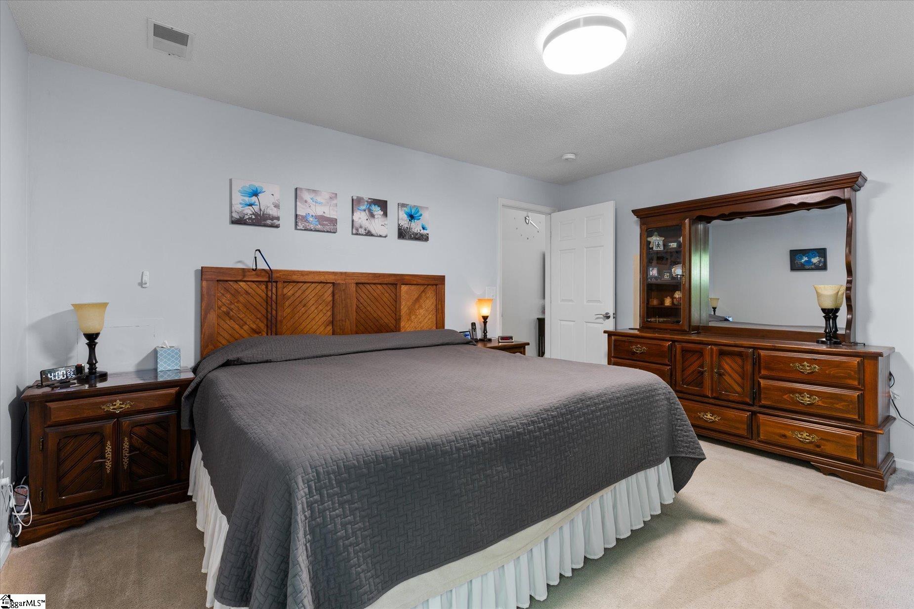 402 Ariel Court Fountain Inn, SC 29644 - Photo 17 of 35 Gallery Image 17