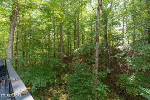 $450,000 | 391 Laurel Road, Townsend, TN 37882