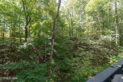 $450,000 | 391 Laurel Road, Townsend, TN 37882
