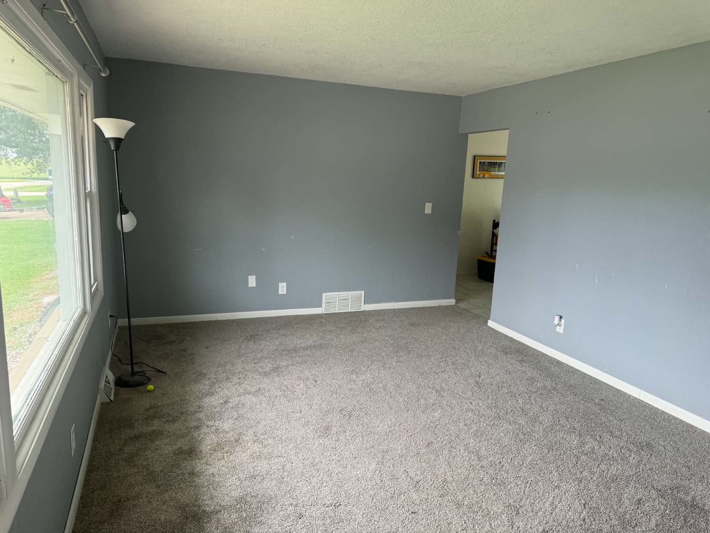206 South Park Street Alpha, IL 61413 - Photo 7 of 27 Gallery Image 7