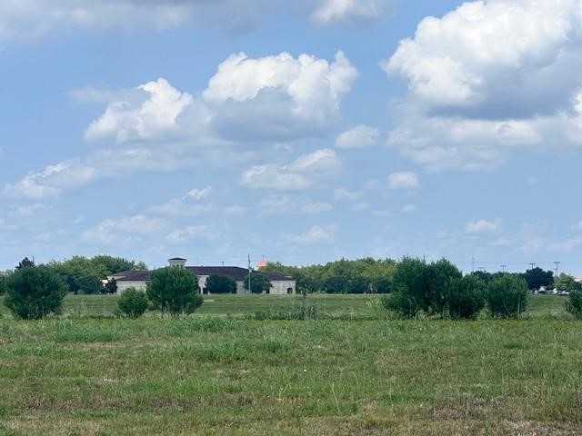 a view of a bunch of trees in a field