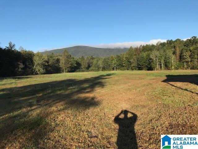 545 Watts Road, Unit 50 AC Lineville, AL 36266 - Photo 20 of 21