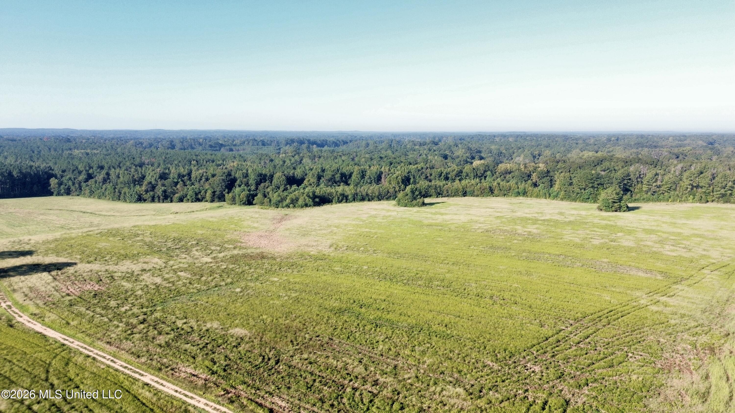 132 Collins Road Florence, MS 39073 - Photo 18 of 25 dji_fly_20260813_013856_845_178974758853