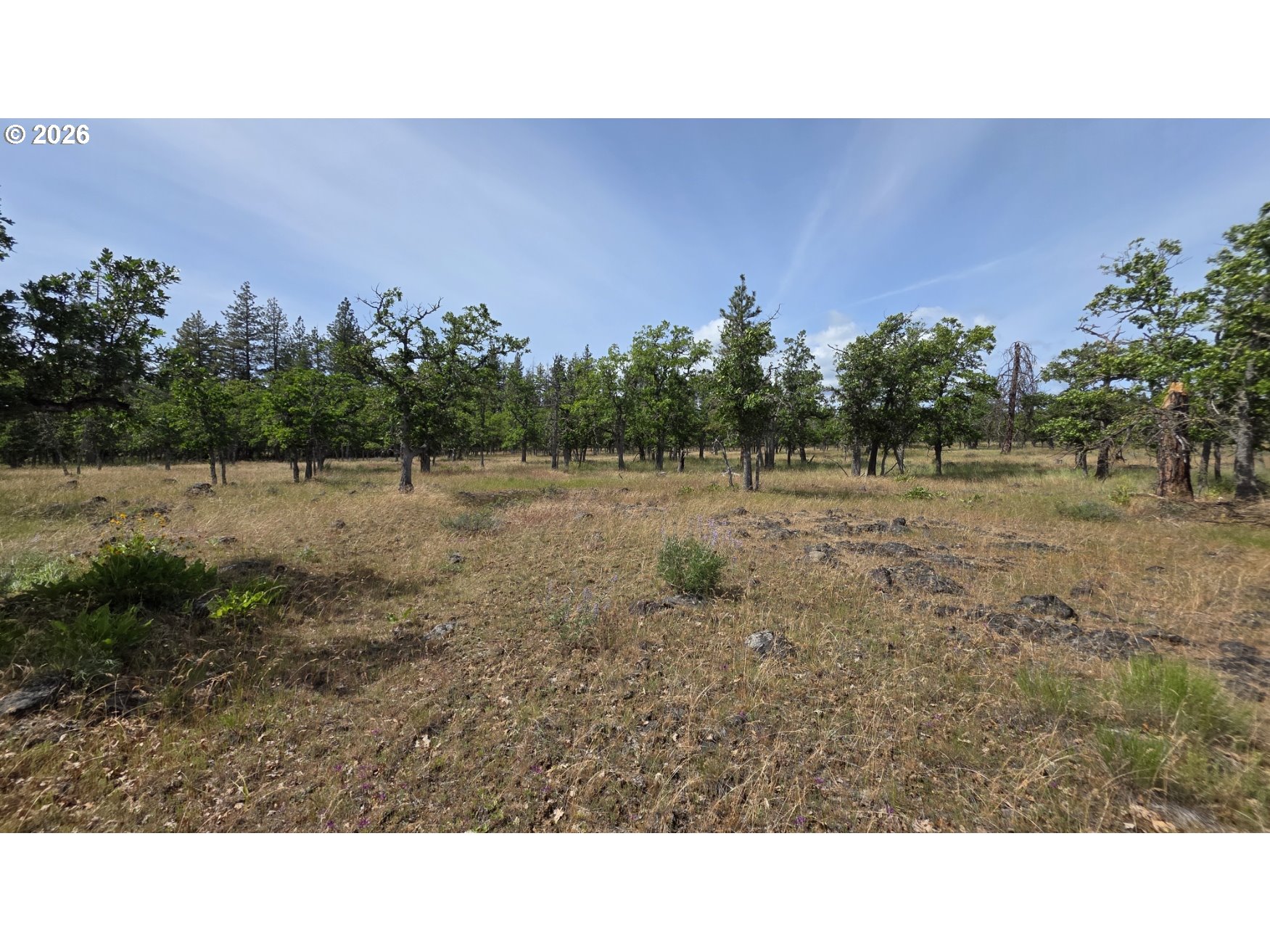 119 Lot Goldendale, WA 98620 - Photo 27 of 29 a open area with trees in the background