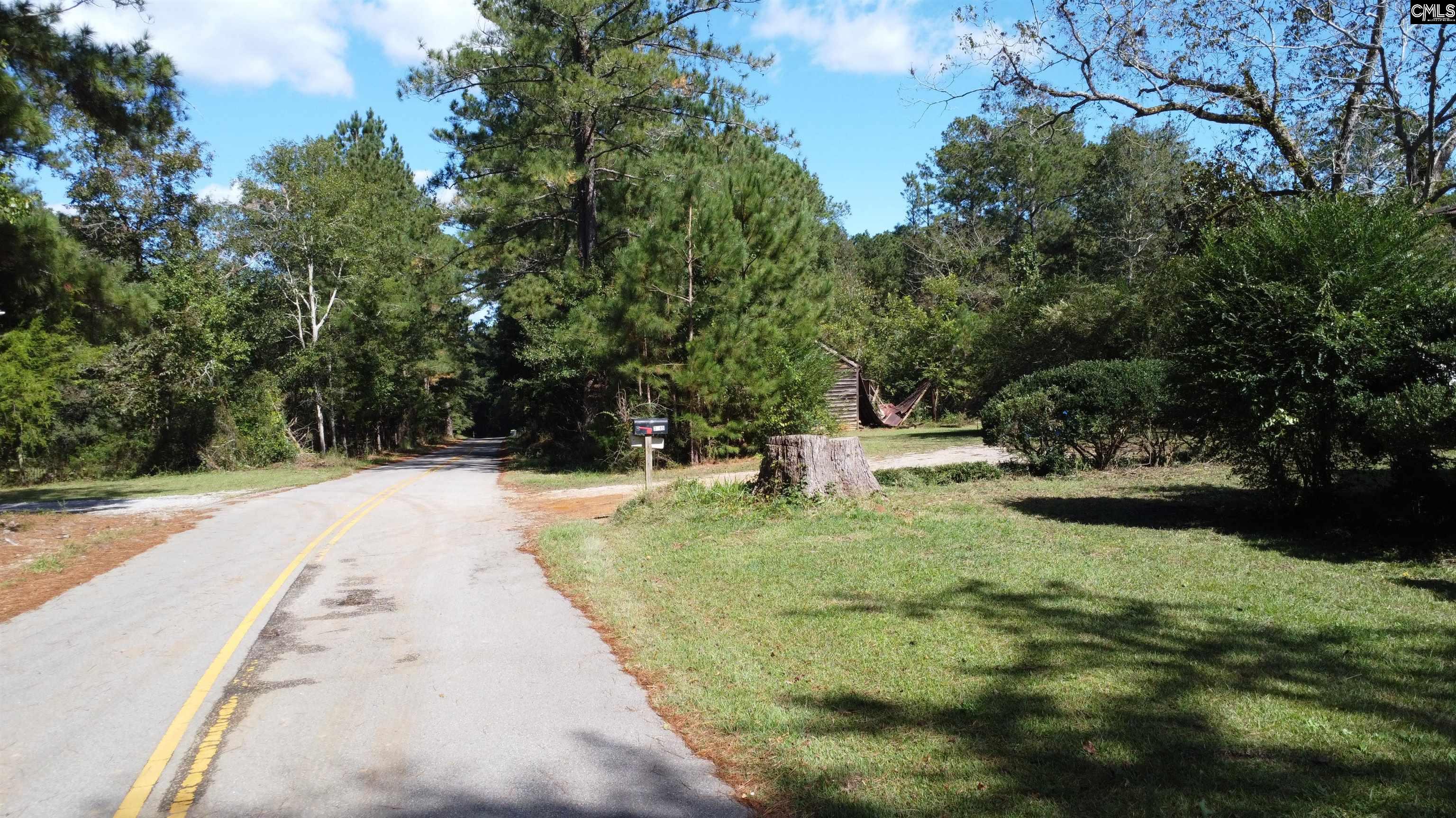 2045 State Rd S-32-235 Leesville, SC 29070 - Photo 39 of 50