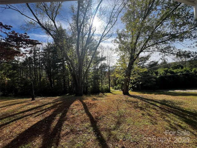 a view of road with trees