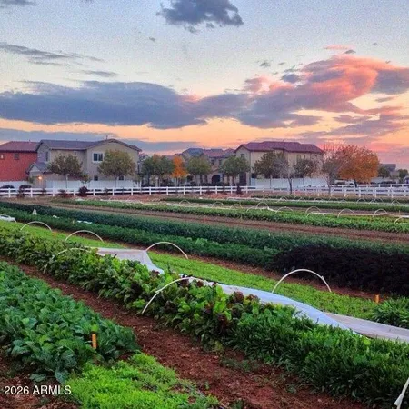 $794,999 | 3541 East Shannon Street, Gilbert, AZ 85295