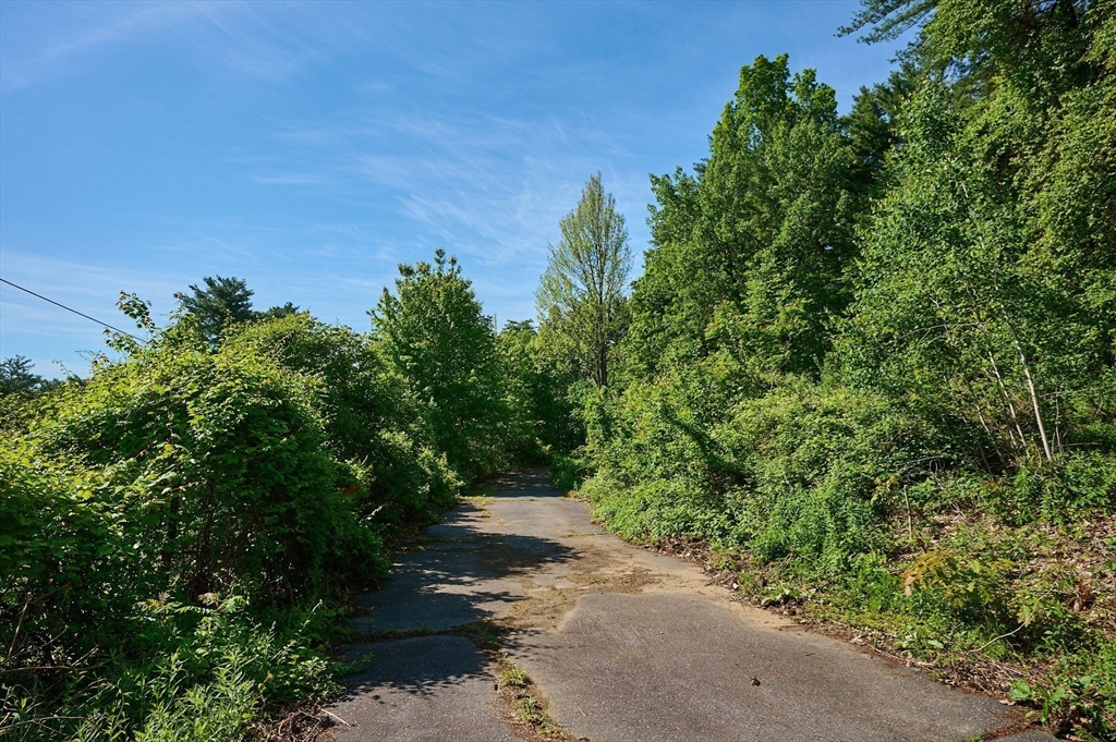 414 Mohawk Trail Greenfield, MA 01301 - Photo 6 of 10 a view of a pathway both side of yard