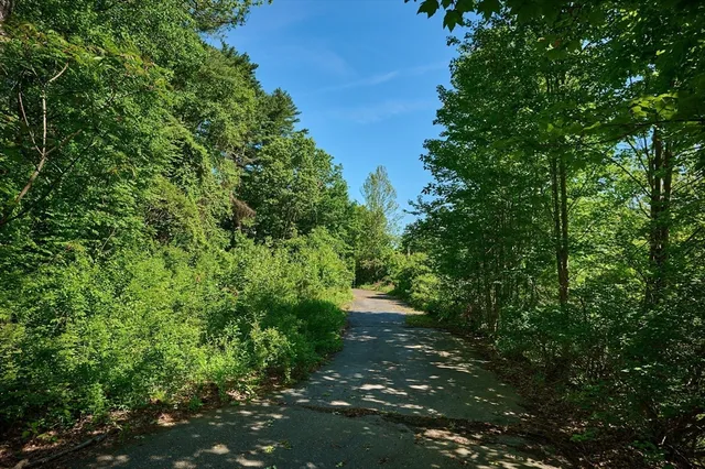 a view of a street with a tree