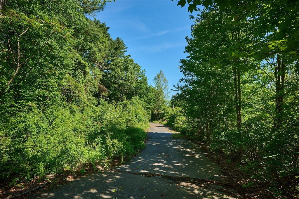414 Mohawk Trail Greenfield, MA 01301 - Photo 7 of 10 a view of a green yard