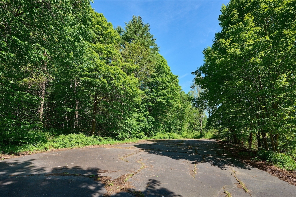 414 Mohawk Trail Greenfield, MA 01301 - Photo 8 of 10 a view of a street with a tree