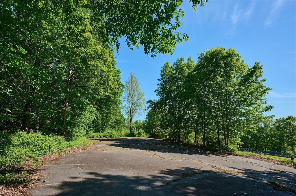 414 Mohawk Trail Greenfield, MA 01301 - Photo 9 of 10 a view of a yard with plants and tree