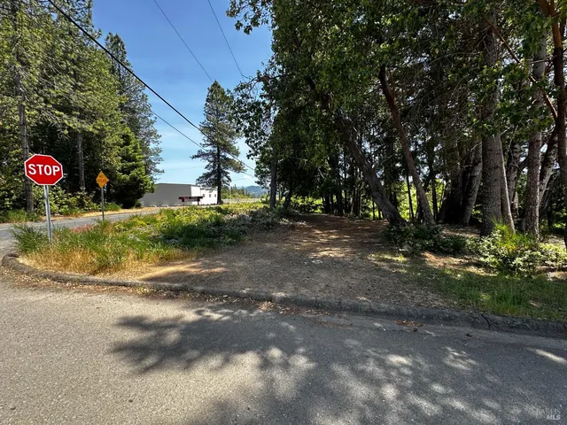 $12,000 | 25895 Madrone Drive, Willits, CA 95490