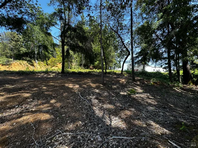 $12,000 | 25895 Madrone Drive, Willits, CA 95490