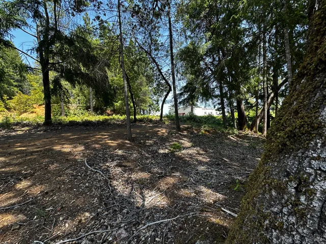 $12,000 | 25895 Madrone Drive, Willits, CA 95490