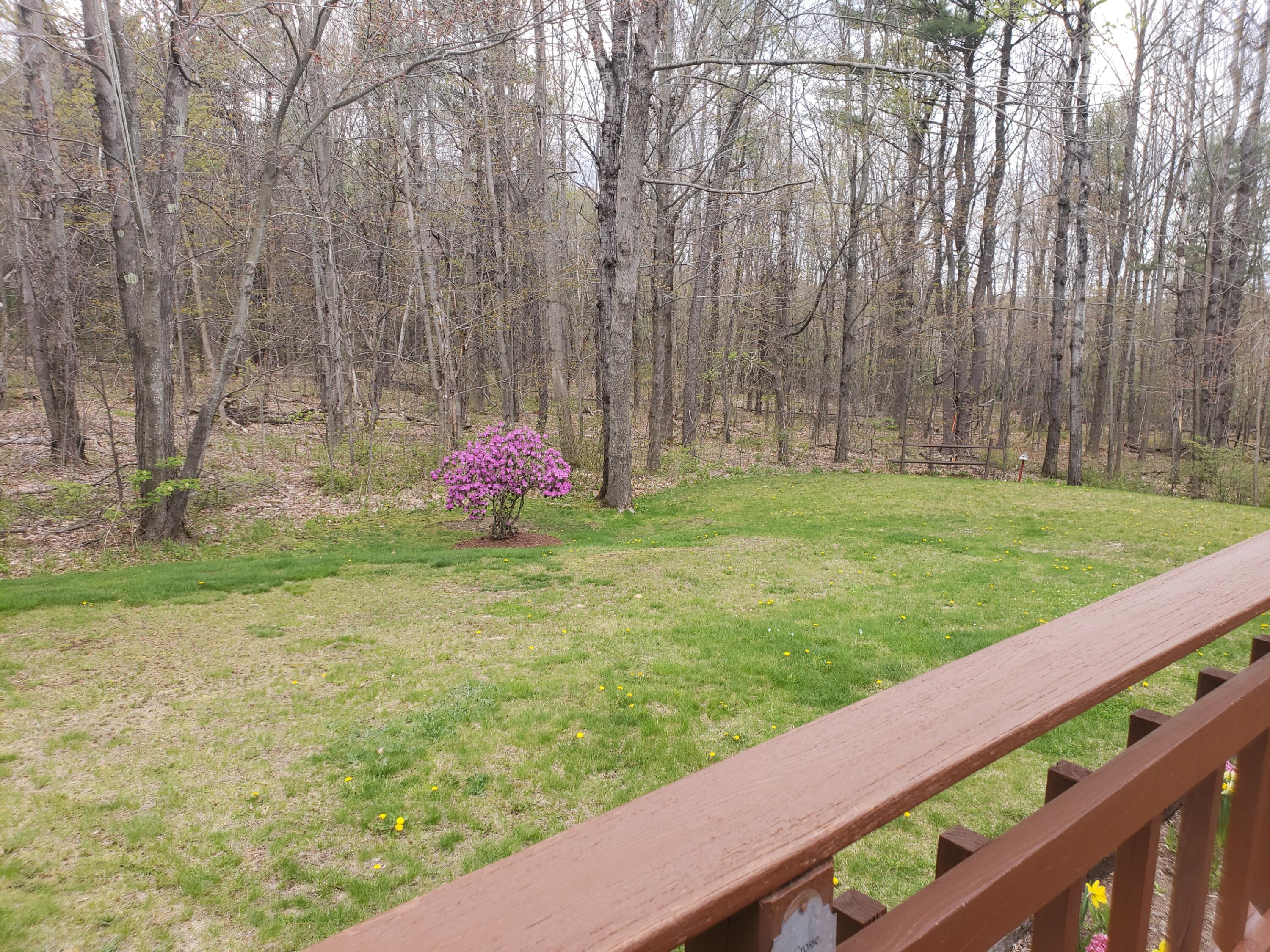 335 Blackguard Road Waterford, ME 04088 - Photo 34 of 35 side yard