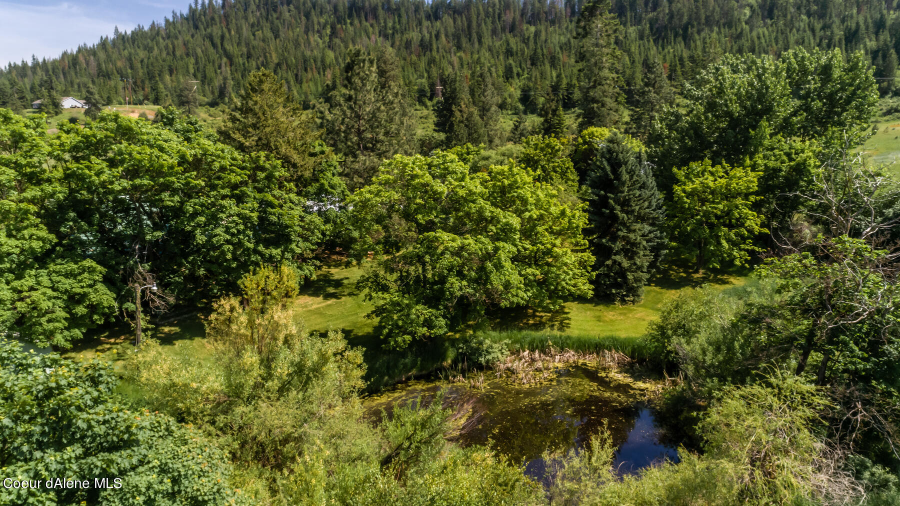 2834 West Conkling Road Worley, ID 83876 - Photo 10 of 14 17_DJI_0659-HDR_WebReady