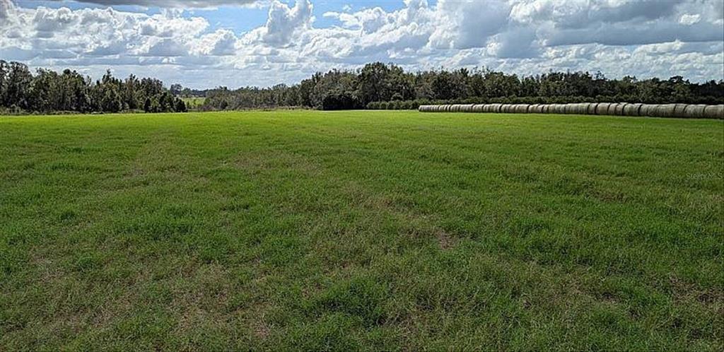 0 Amberlea Road Dade City, FL 33523 - Photo 1 of 1 Gallery Image 1