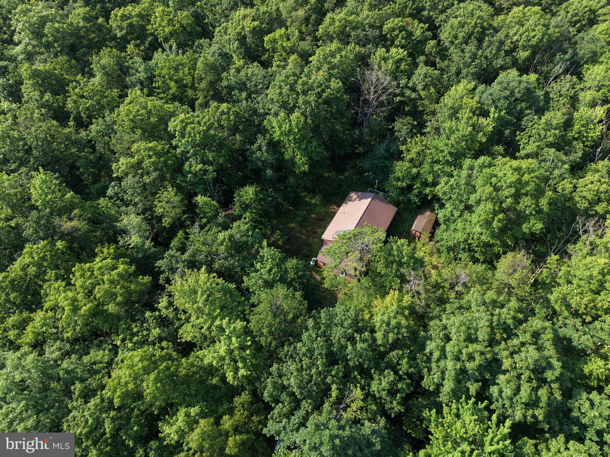 542 11 Road Clarence, PA 16829 - Photo 21 of 64