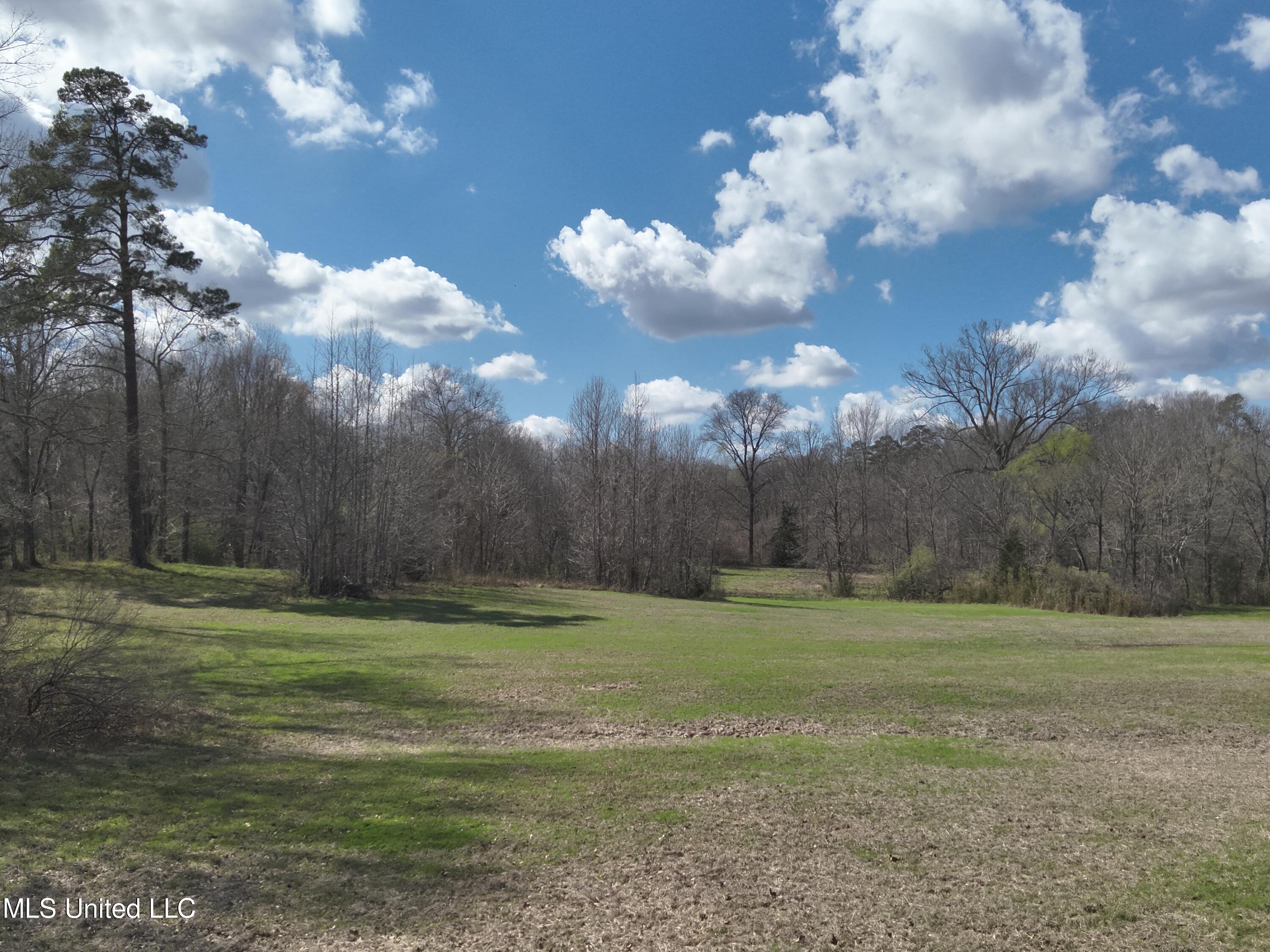 4840 Cayuga Road Utica, MS 39175 - Photo 1 of 12 Land
