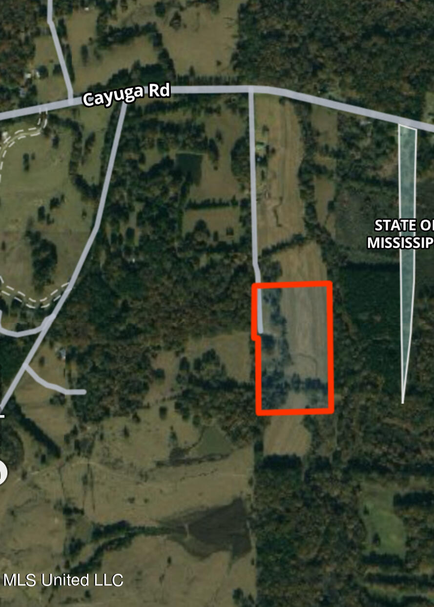 4840 Cayuga Road Utica, MS 39175 - Photo 11 of 12 IMG_DA9A0B66700C-1