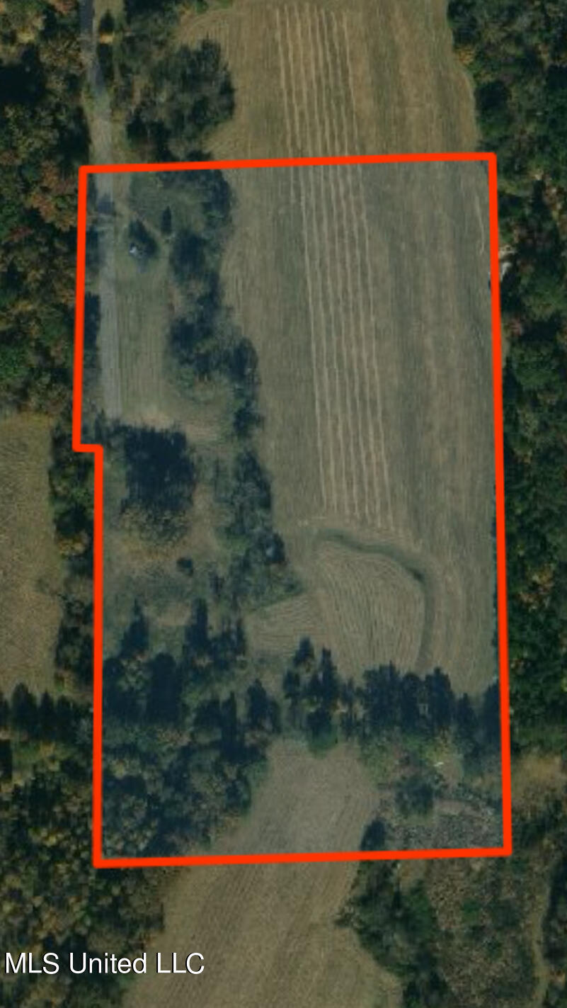 4840 Cayuga Road Utica, MS 39175 - Photo 12 of 12 IMG_0053891BD4D7-1