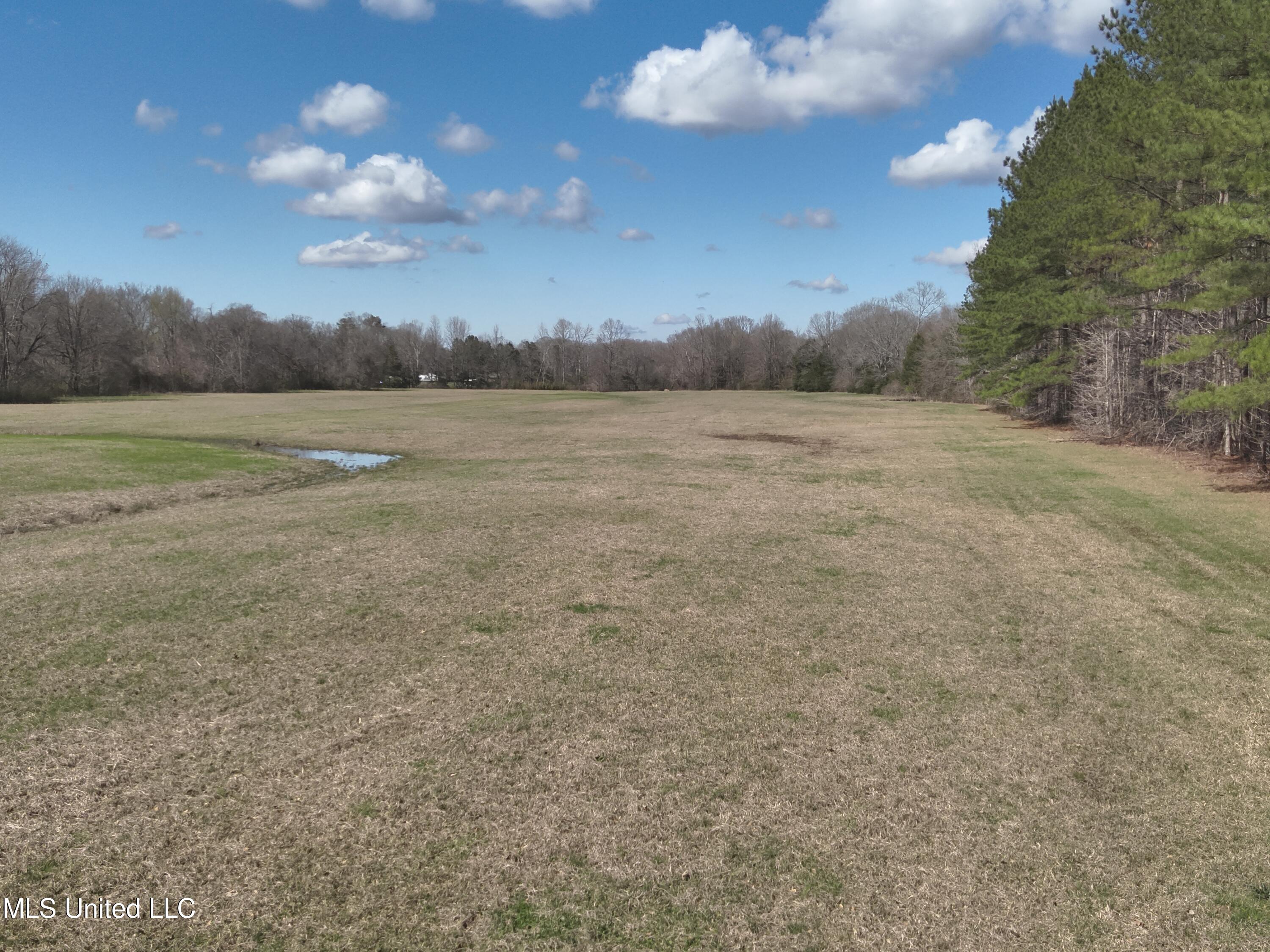 4840 Cayuga Road Utica, MS 39175 - Photo 5 of 12 DJI_20240306135626_0013_V
