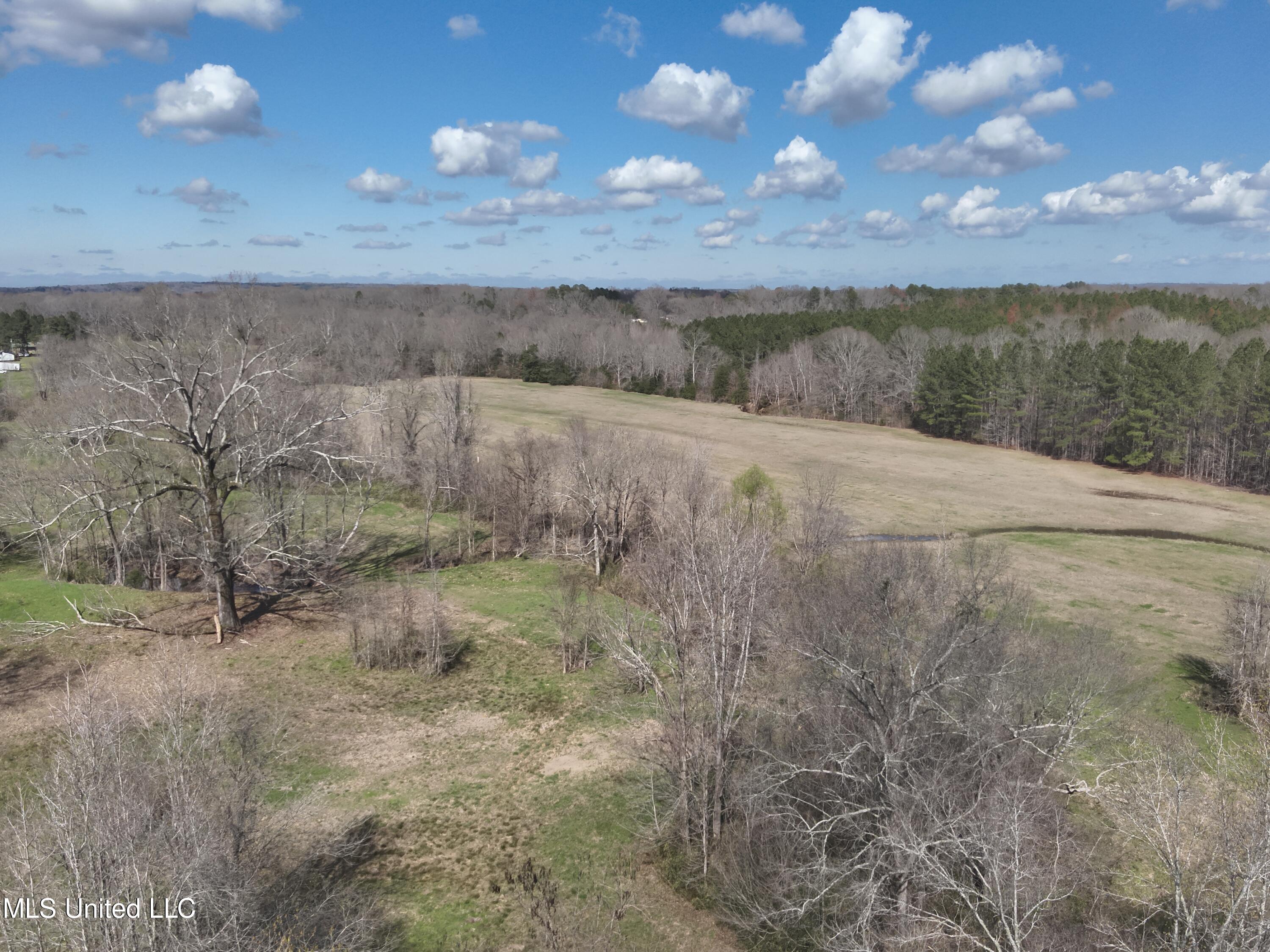 4840 Cayuga Road Utica, MS 39175 - Photo 6 of 12 DJI_20240306135359_0004_V