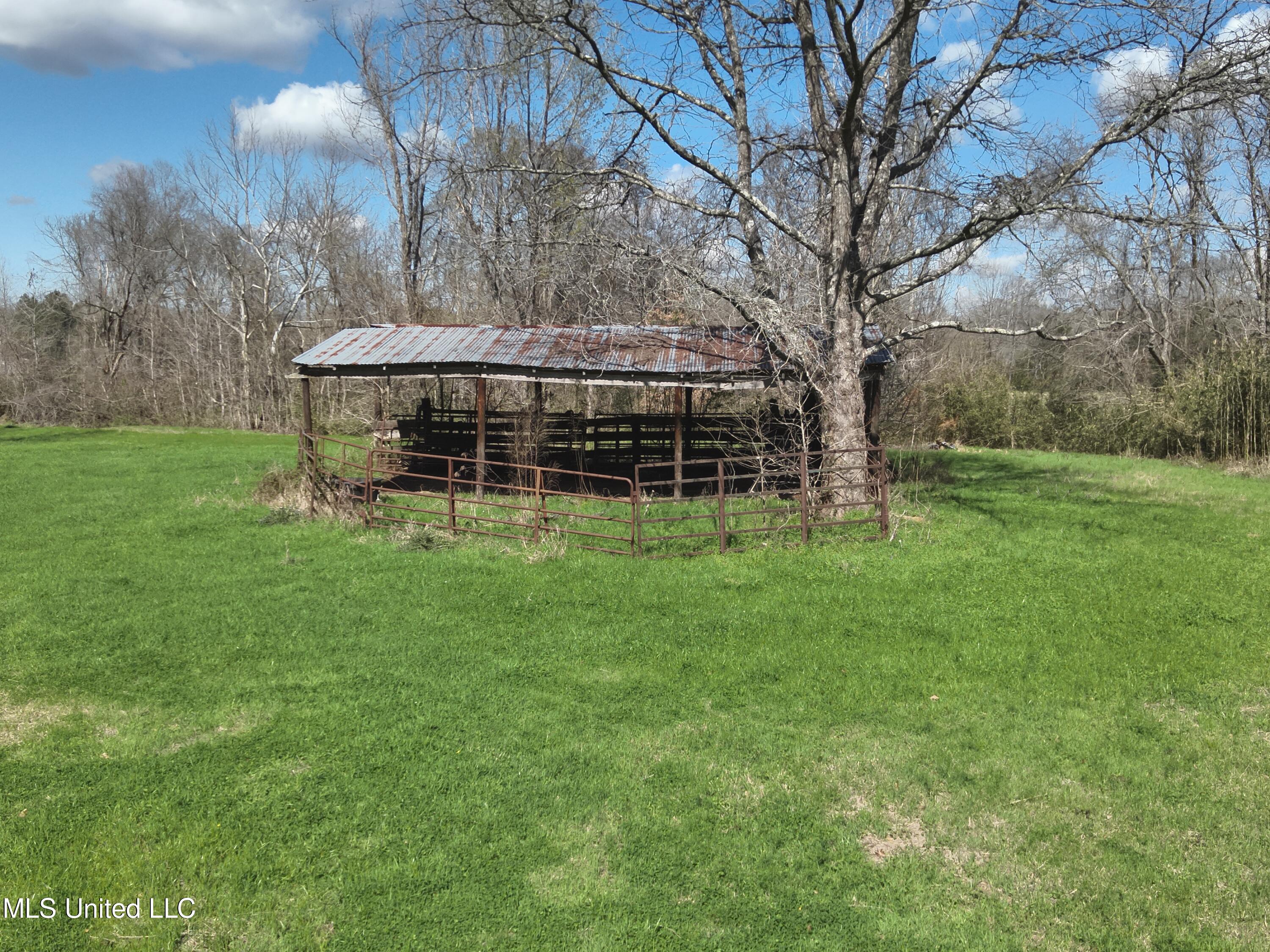 4840 Cayuga Road Utica, MS 39175 - Photo 7 of 12 DJI_20240306135758_0018_V