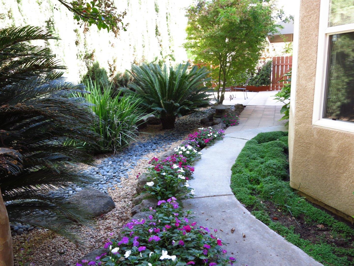 1847 Tartan Road Turlock, CA 95382 - Photo 13 of 37 a view of a garden with flowers and trees