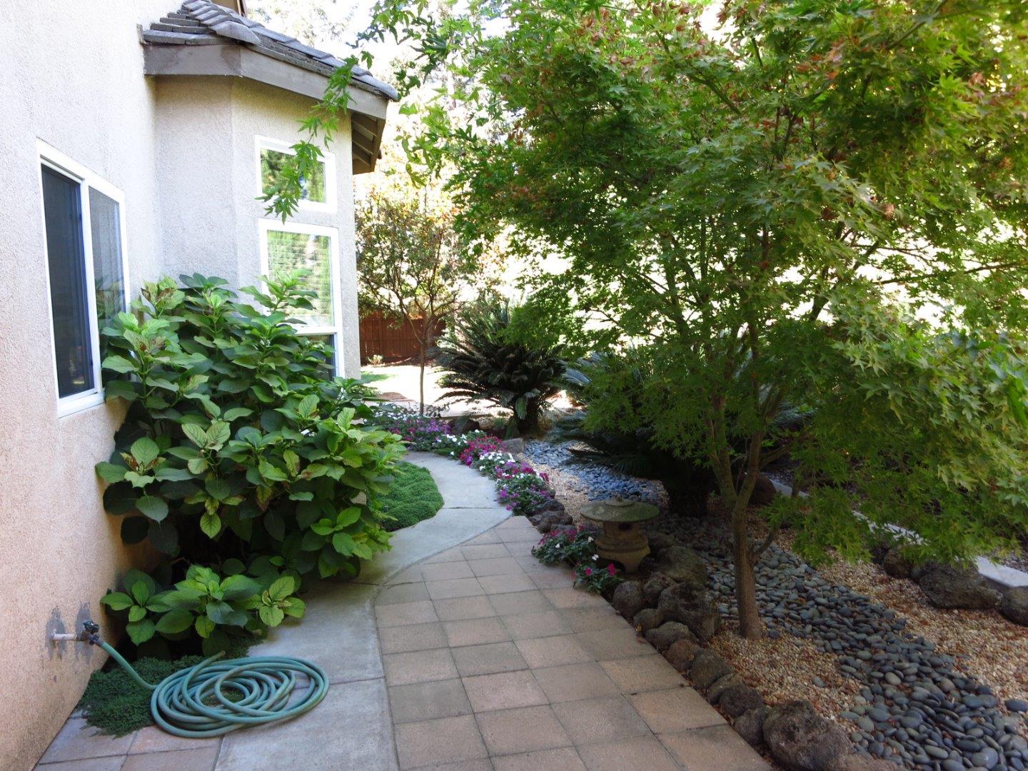 1847 Tartan Road Turlock, CA 95382 - Photo 14 of 37 a view of a garden with potted plants