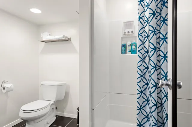 a white toilet sitting next to a shower curtain
