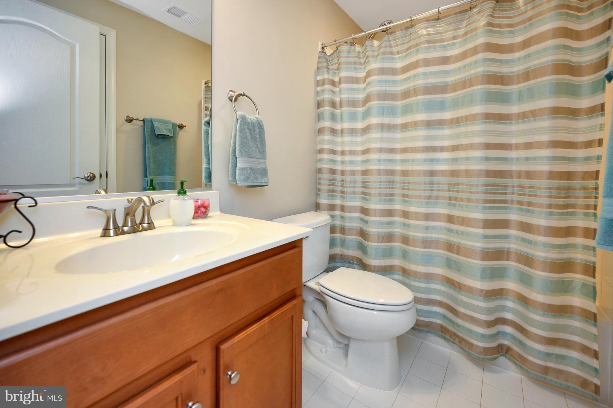 1455 Chesterfield Road Locust Grove, VA 22508 - Photo 54 of 66 Basement Bathroom