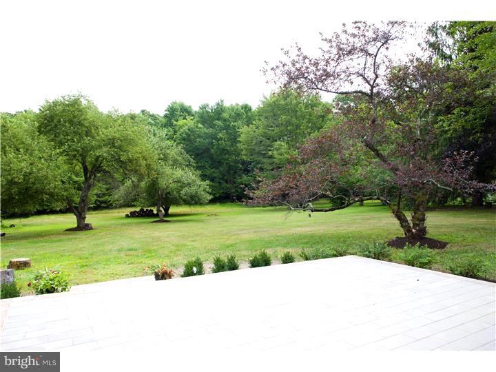 2701 Furlong Road Doylestown, PA 18902 - Photo 5 of 18 Patio
