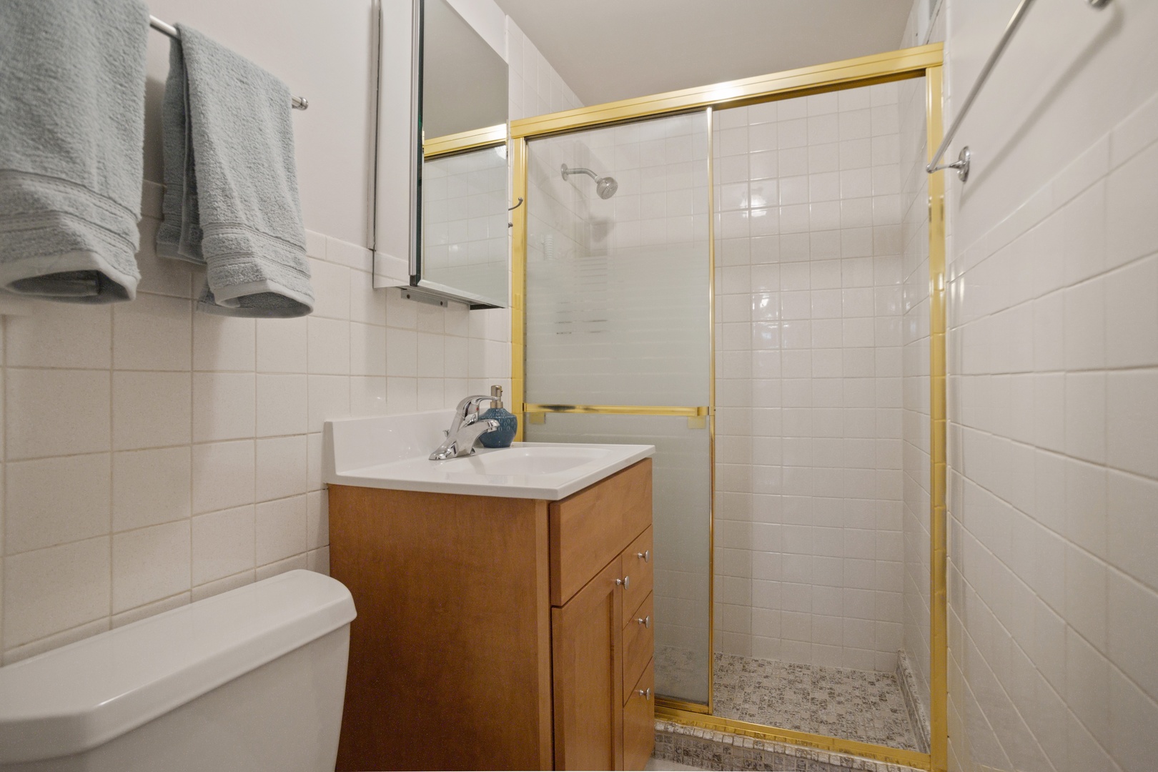 1515 Elliott Street Park Ridge, IL 60068 - Photo 12 of 17
