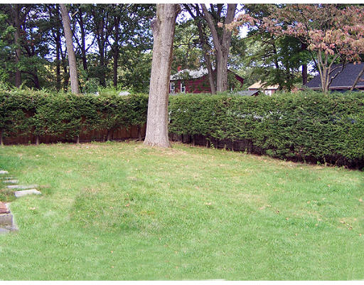 68 Hazen Street Springfield, MA 01119 - Photo 3 of 19 a view of backyard with green space