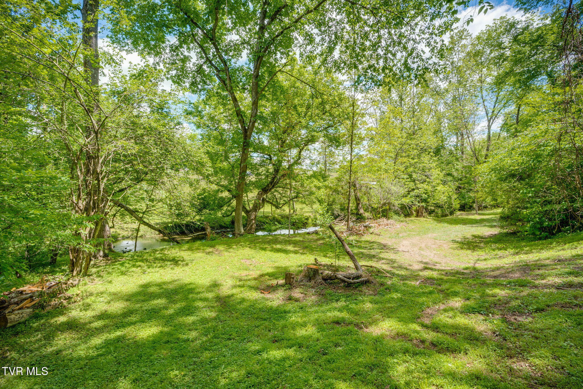 490 Cockatiel Road Limestone, TN 37681 - Photo 59 of 85 052