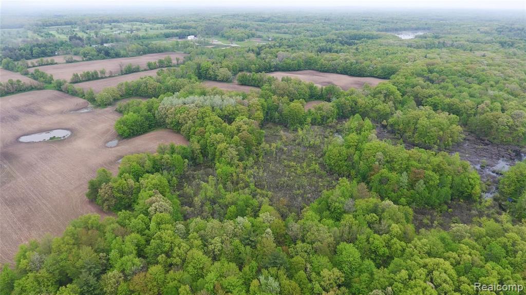 0 Noble Road Oxford, MI 48371 - Photo 1 of 5