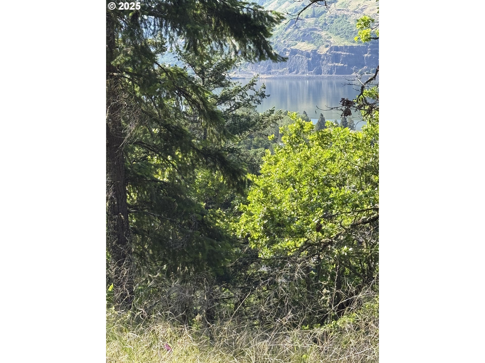 Coyote Court, Unit 42 Mosier, OR 97040 - Photo 1 of 13