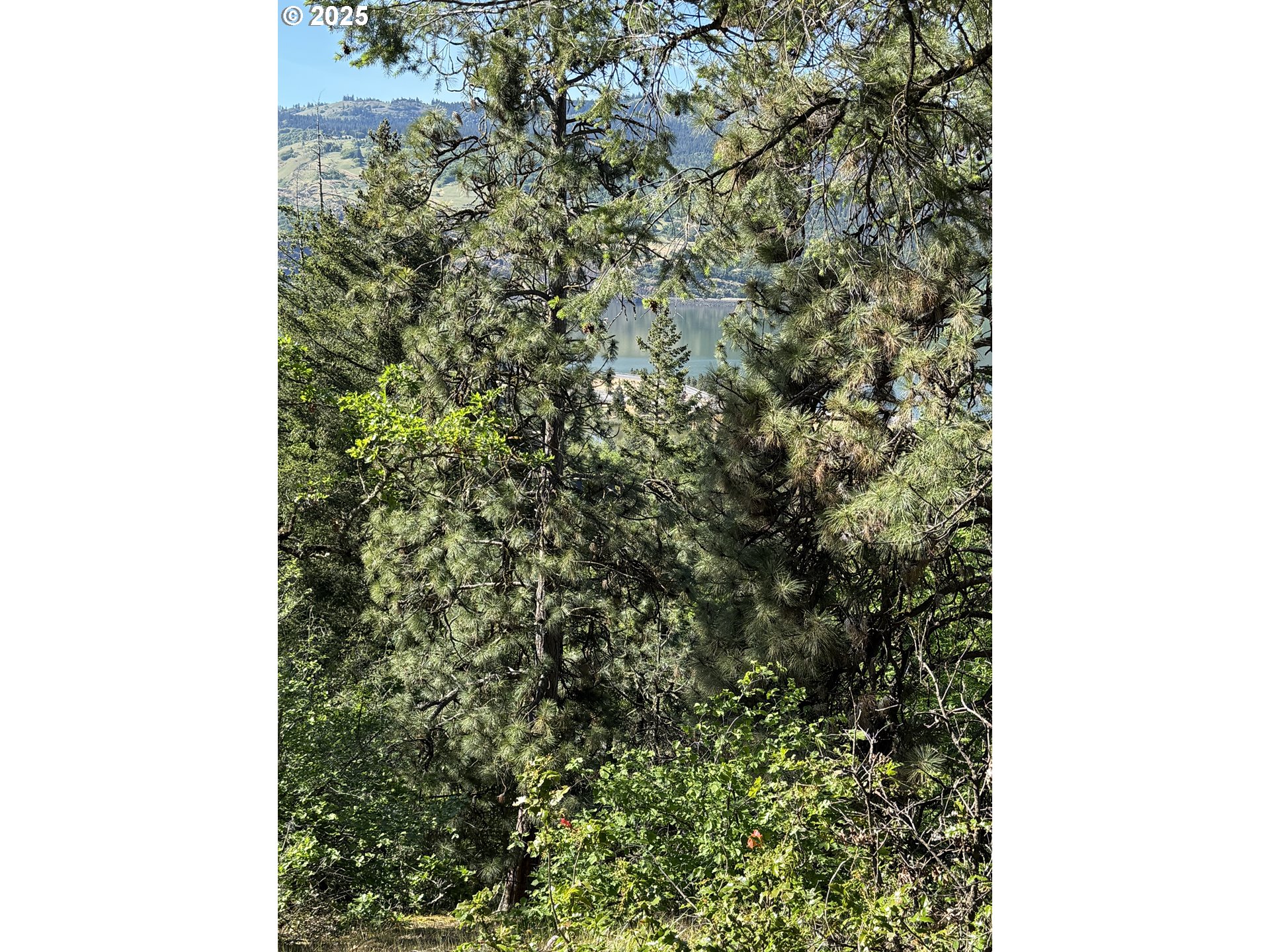 Coyote Court, Unit 42 Mosier, OR 97040 - Photo 2 of 13