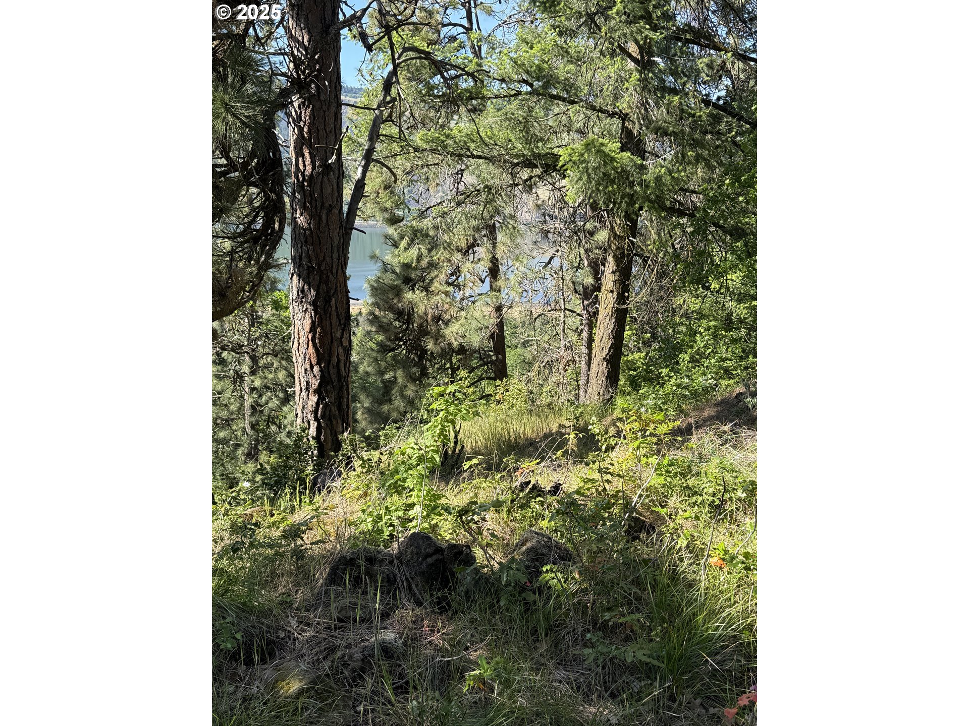 Coyote Court, Unit 42 Mosier, OR 97040 - Photo 3 of 13